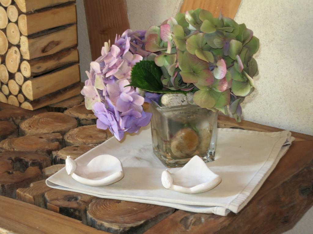 Melgven Bed And Breakfast La Fontaine Blanche מראה חיצוני תמונה